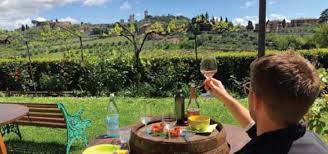 wine tasting on a vineyard in tuscany