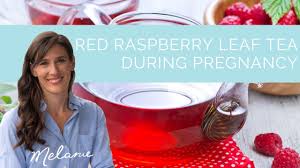 raspberries during pregnancy are they