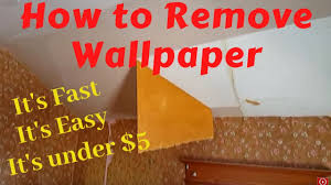 removing wallpaper with water and