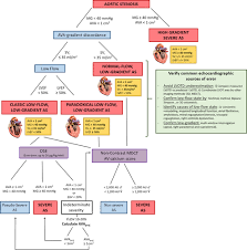 Aortic Valve Area And Gradient