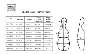 Accord Cello Case