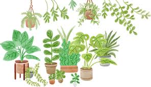 Plants A To Z Find Plant Names By Letter