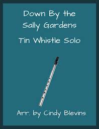 tin whistle by irish folk song
