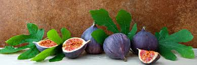 Fabulous Figs Grow Your Own National