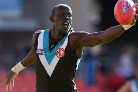 He formerly played for the sydney swans. Port Adelaide Soar Past Insipid Suns But Gray Subbed Out 247 News Around The World
