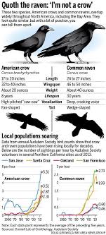 How to unlock raven costume? They Re Everywhere Crows Ravens Overrun Bay Area The Mercury News