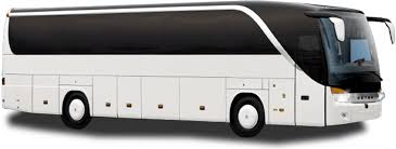 mcallen charter bus company bus