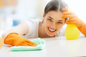 Boca Raton Cleaning Services Boca Cleaning Services
