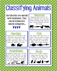 Classifying Animals Anchor Chart Classifying Animals