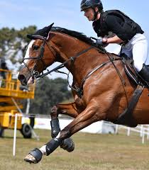 Julia and samourai, winning the luhmühlen 4* in 2017, on the way to tokyo gold. Saumur Complet Germany S Julia Krajewski Still In The Lead After Cross Country Test Equnews International