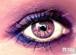 purple eye makeup beautiful eyes make