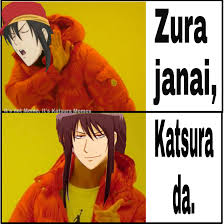 It's not Meme, It's Katsura Memes