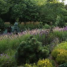 How To Design A Stylized Meadow Garden