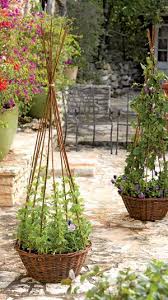 Diy Garden Trellis Willow Garden Plants