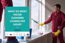 house cleaning in new zealand