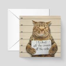 Funny Cat Birthday Card Funny Cat Card