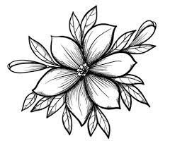 single flower drawing images browse