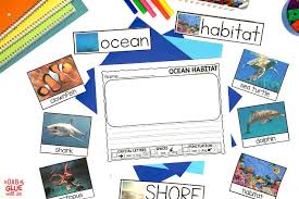 pre k ocean habitat science unit a