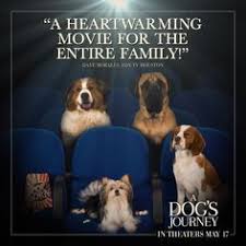 A dog's journey is a movie starring dennis quaid, betty gilpin, and abby ryder fortson. 29 A Dog S Journey Ideas A Dog S Journey Beloved Dog Dogs
