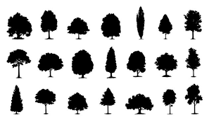 tree silhouette images browse 2 048