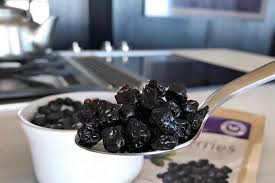 freeze dried blueberries nutrition