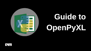 guide to openpyxl a python module for