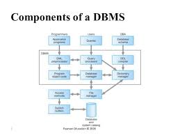 Database Management Systems Components