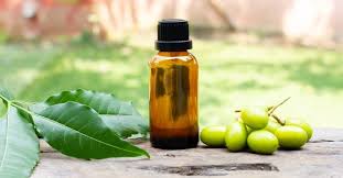 how to make neem insecticide at home