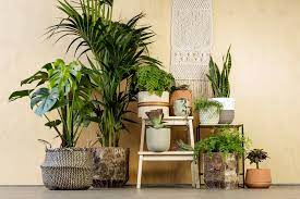 6 ways to use artificial plants in your