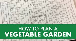 How To Plan A Vegetable Garden 10