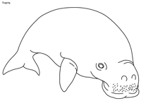 Coral reef coloring page illustrations & vectors. Great Barrier Reef Coloring Pages