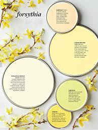 Yellow Paint Colors