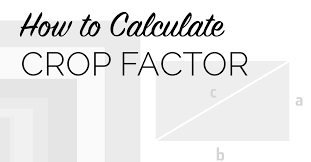 crop factor and how do you calculate