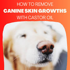 how to get rid of growths on dogs for