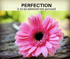 Image result for perfection is to be admired, not pursued