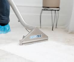 carpet cleaning san go zerorez san