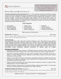 Project Management Resumes Awesome Project Manager Resume Templates