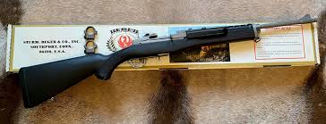 ruger mini 14 ranch 196 series