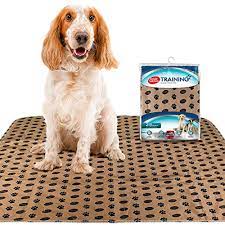 It comes with natural attractants making it a cinch. The Best Puppy Potty Training Pads Of 2021 Pet Life Today