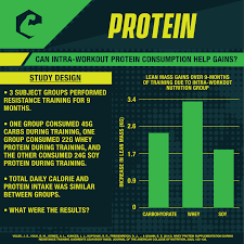intraworkout protein the muscle phd