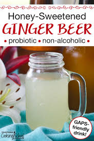 honey sweetened ginger beer probiotic