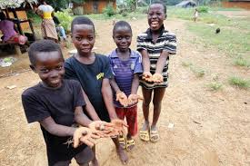 Where's our poor country heading? The Situation For Children In Liberia Unicef Liberia