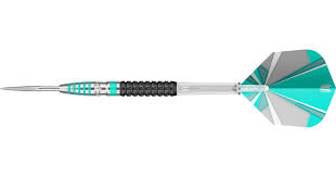 Bringing you all the latest news and exclusives from the best darts players on the planet! Mikuru Suzuki Jadeite Generation 1 Steel Tip Dart Target Darts