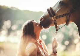dating a horse the survival guide