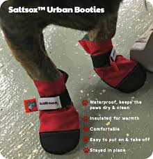 Dolly Goes Behind The Scenes At Saltsox Urban Booties