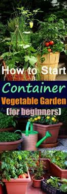 container gardening vegetables