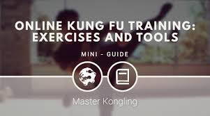 kung fu training exercises and