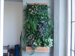 hanging succulents make a vertical