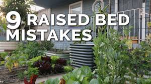9 beginner raised bed garden mistakes