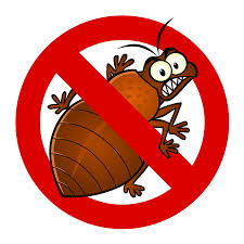 Sometimes it's possible to get rid of bed bugs by yourself, while other times, you'll need to call in pest what kills bed bugs? Do It Yourself Pest Control Archives Page 3 Of 6 Bug Weed Mart